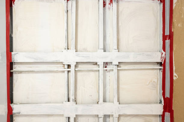 Best Black Mold Removal  in Trinity, TX