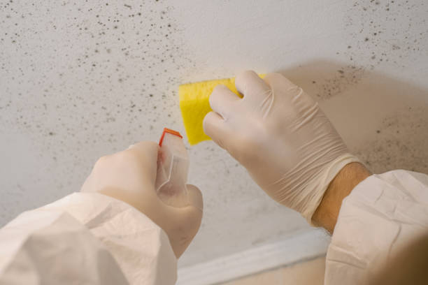 Best HVAC Mold Inspection and Cleaning  in Trinity, TX