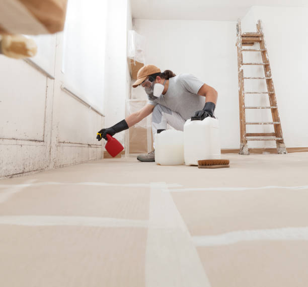 Mold Documentation for Insurance Claims in Trinity, TX