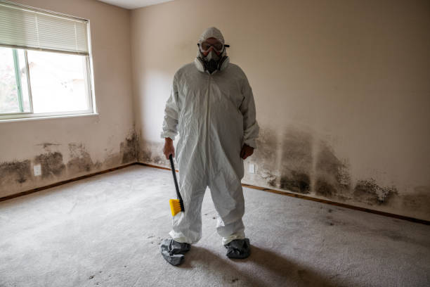 Best Post-Remediation Verification Testing  in Trinity, TX